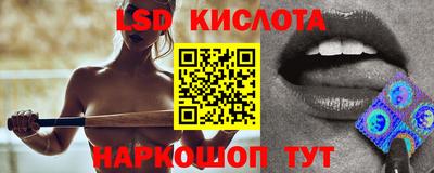 прущие грибы Краснодар