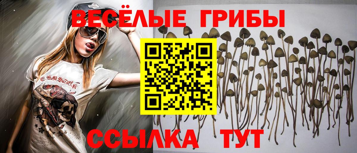 продажа наркотиков  Вход с VPN  Уфа  Галлюциногенные грибы мицелий 
